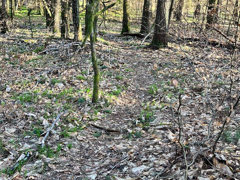 24-02-26 16-04-55 8727